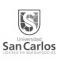 Universidad San Carlos
